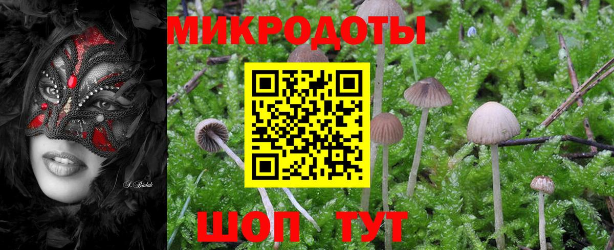 Галлюциногенные грибы Psilocybine cubensis  Вход с VPN  Псилоцибиновые грибы мухоморы  Богданович 
