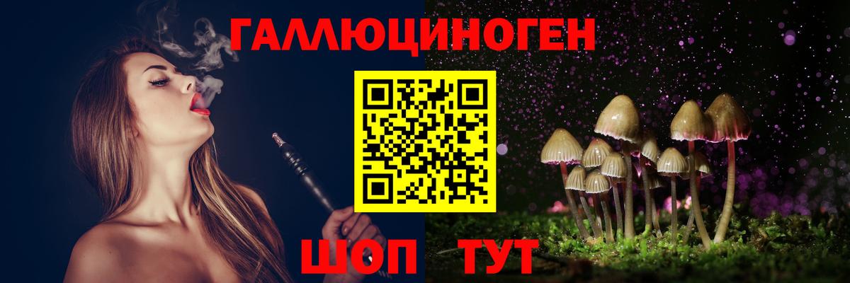 Псилоцибиновые грибы MAGIC MUSHROOMS Богданович